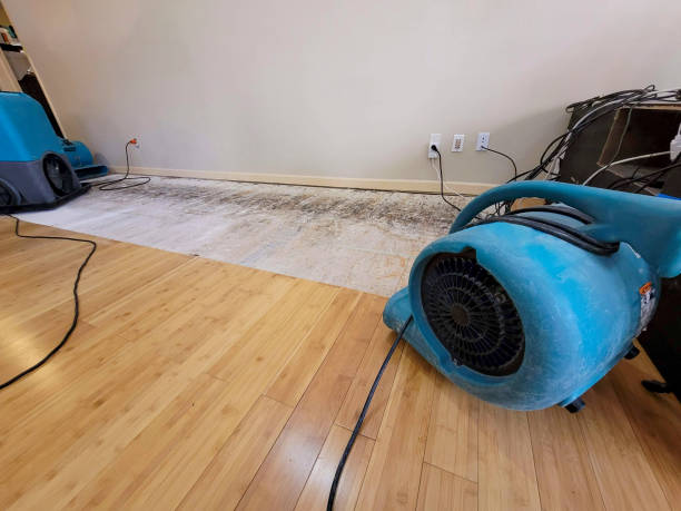 Professional Sewage Cleanup technician working in Reeseville, WI